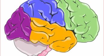 Attention-Deficit/Hyperactivity Disorder