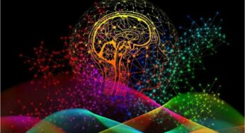 The Role of Brain Insulin in ADHD: Emerging Evidence