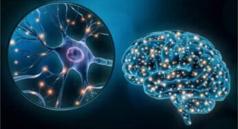 The Impact of Brain Glucose Metabolism on Attention Deficit Hyperactivity Disorder: Mechanisms and Implications